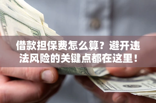 济南借款担保费怎么算？避开违法风险的关键点都在这里！