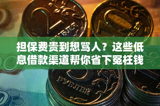 济南担保费贵到想骂人？这些低息借款渠道帮你省下冤枉钱