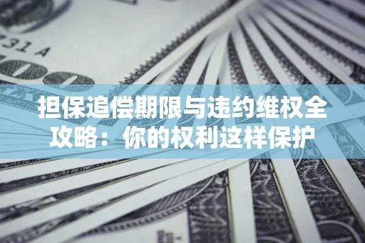 济南担保追偿期限与违约维权全攻略：你的权利这样保护